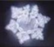 Photo by Dr. Emoto showing symmetrical 6 pointed star shaped arrangement of water melecules labeled  Elephant
