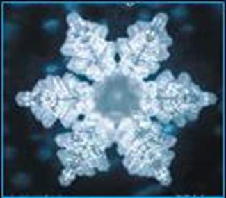 6 pointed symmetrical crystalline coherent structured water molecule photographed by Dr. Emoto. 